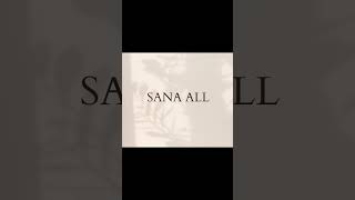 SANA ALL | Words of the day #vocabularylesson #vocabularywords #wordoftheday #fyp #sanaall #sanaol