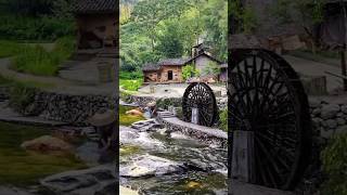 Morning Village Life #nature #villagenaturelife #naturalvillagelife #villagelife #travel