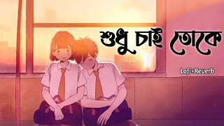 Sudu Chai Toke Song ( Lofi + Reverb ) [শুধু চাই তোকে বাংলা রোমানটিক গান] Singer @autanuvines2340