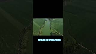 NATURE OF BANGLADESH #50yearsofbangladesh #amarsonarbangla #highlight