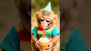 🎂 Family celebration turns into monkey fun! 🐒😂🎉❤️