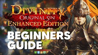 Divinity Original Sin Enhanced Edition | Beginner's Guide - Tips and Tricks