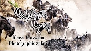 Kenya Botswana Wildlife Photography Workshop and Tuition