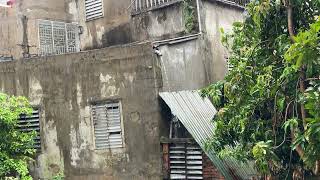 Real Rain in a Quiet Alley 🌧️ Relaxing Urban Rain Ambience on Rooftops