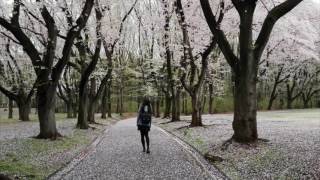 Beautiful and Emotional Piano - "The Heart's Tale" ｜BigRicePiano