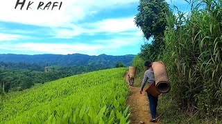 #সখী   শিমুল তুলার বালিশে ঘুম পাড়াবো আয়||রোমান্টিক গান||Bangla Romantic