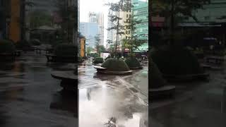 雨が降るたびに