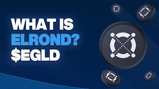Elrond (EGLD) Explained, What Is Elrond? (Whiteboard Animated)