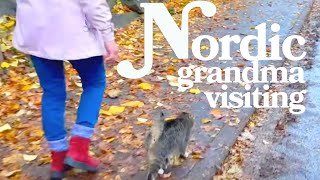 Where LOCALS Spend a Day in Helsinki, FINLAND