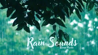 Rain Sounds Expert Reveals SECRET to Falling Asleep in 10 Minutes