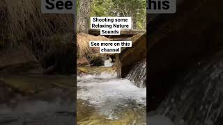 Relaxing Nature Sounds 8 Hours, see more on this Channel               #soundofrain #sleepmusic