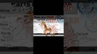 Animal vocabulary #shorts #vocabularyinenglish