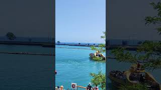 Navy pier Sea dog #chicago #navypier