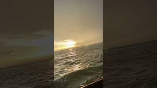 #goldenhour#peace#nature#quietevening