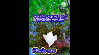 zindgi whatup status#trendingshorts #zindagi #love #explore #youtubeshorts #@Lucky-zs1xr