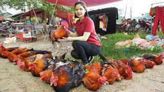 Harvesting Chickens (Roosters) to sell at the market, Animal Care and Preparing Food | LISA
