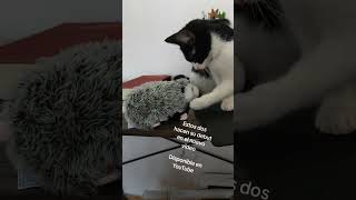 Se están peleandaaa...en el set!!