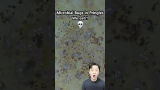 Microbial Bugs in Potato Snack?!