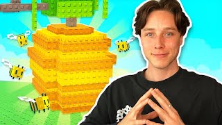 RACCOON & QUEEN BEE GIVEAWAY x FRIENDSHIP UPDATE