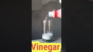 Vinegar experiment at home#shorts  #experiments_at_home #AJ