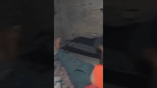 pawon sing ka new song dhani ho sab dhan toh are nu bate #pawon #shorts #viral #h2so4ankityadav