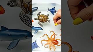 海の動物について学ぼう #seaanimals #seaanimalsname #seacreatures #learn #learning #learningthroughplay