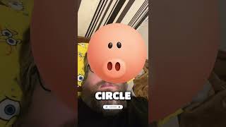 豚の顔 😍#tiktok #tiktokvideo #funnyclips