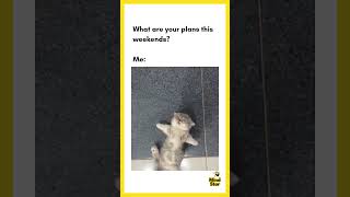 What's your weekend plan?#weekendplans #mentalhealth