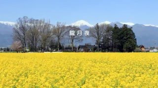 ～朧月夜～ 芹　洋子