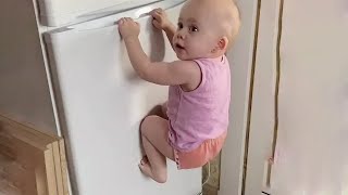 Try Not To Laugh With Best Funny Baby Videos Compilation