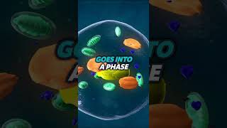 Autophagy?!?! What is THAT? - Unlock Potential Clip S2E14  #unlockpotential #motivation #stayactive