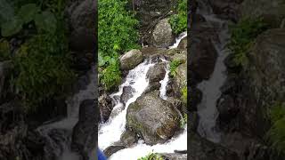 #2023 #peyel #recreating #iloveyou #paoli #duet #bengaliwhatsappstatus #dancecover #live