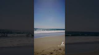 Never, No Not Once - July 19th!      #folkmusic #fy #foryoupage #foryou #folk #summer #roadtrip