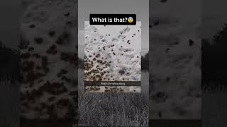 Mind blowing 😳😳😲🤯🤯 shorts #2 #shorts #ytshorts #mindblowingshorts