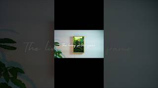 making a terrarium in a picture frame | #shorts |#youtubeshorts