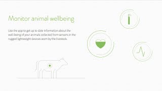 Vence hardware and software livestock management