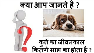 क्या आप को पता है कुत्ते कितने साल जिते है ? #facts #gk #amazingfacts