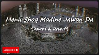 Top 5 Naats Slowed and Reverb - Heart Touching Naats - Peaceful Naats