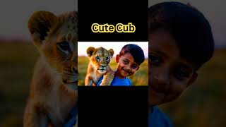 How a Lion Pride Hunts Prey | Cat Attack-tics | Mufasa say asi umeed Nahi thi | mian saqib lions