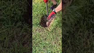 A bit of luck! #metaldetecting #metaldetector