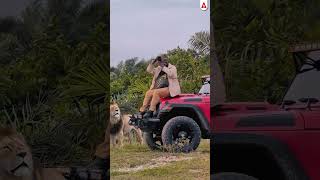 Wildlife Adventure #lion #Wildlife #Adventure #kamyabbatch #ssccgladda247