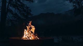 Cracking Campfire with Forest Ambience  / 8 Hours