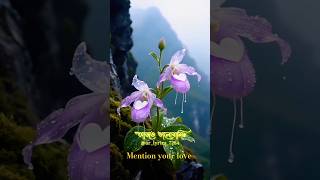 তোমার ওই হাঁসি 😇💝 #viral #trending #popular #lyrics #explore #fyp #foryou #bangla #shorts #city