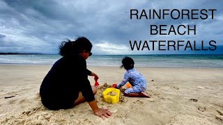 15. Christmas in Dorrigo National Park, Scotts Head( Coffs Harbour), Ellenborough Falls,Dangar Falls