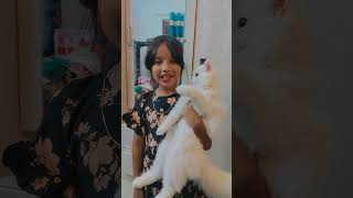 #pyare #kitty