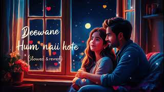 Deewane Hum Nahi Hote 💕 (Slow & Reverb) | Lofi |New Hindi - (Slow & Reverb) lofi songs 2024 !!