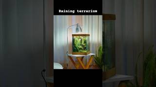 how to make a rainfall paludarium in a glass tank | #shorts | #youtubeshorts