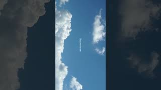 Say yes to heaven - Lana Del Rey (lyrics) | Whatsapp Status #edit #relaxing #shorts  #aesthetic