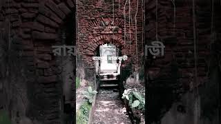 short #shortvlogs #shortvideo #shotsfeed #shortvlogsexploreshorts