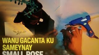 Badan oo Cudbi & Dhalo ah!"2. "Qurxin Guri oo Fudud – DIY Cajiib!"3. "Iska Samee Ubax Cajiib ah